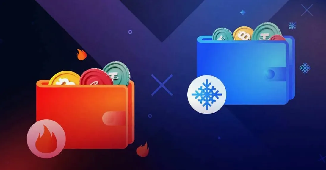 Горячие и холодные кошельки для USDT: что лучше для хранения стейблкоина